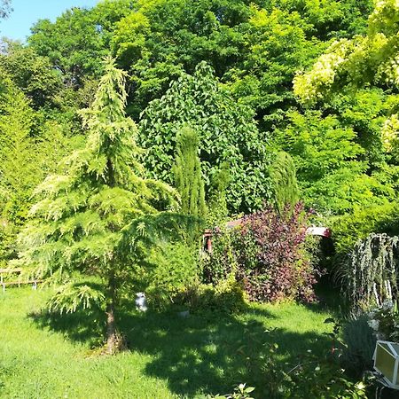 Apiculteur Loue 2 Chambres Dans Cadre Verdoyant Pagny-sur-Meuse المظهر الخارجي الصورة