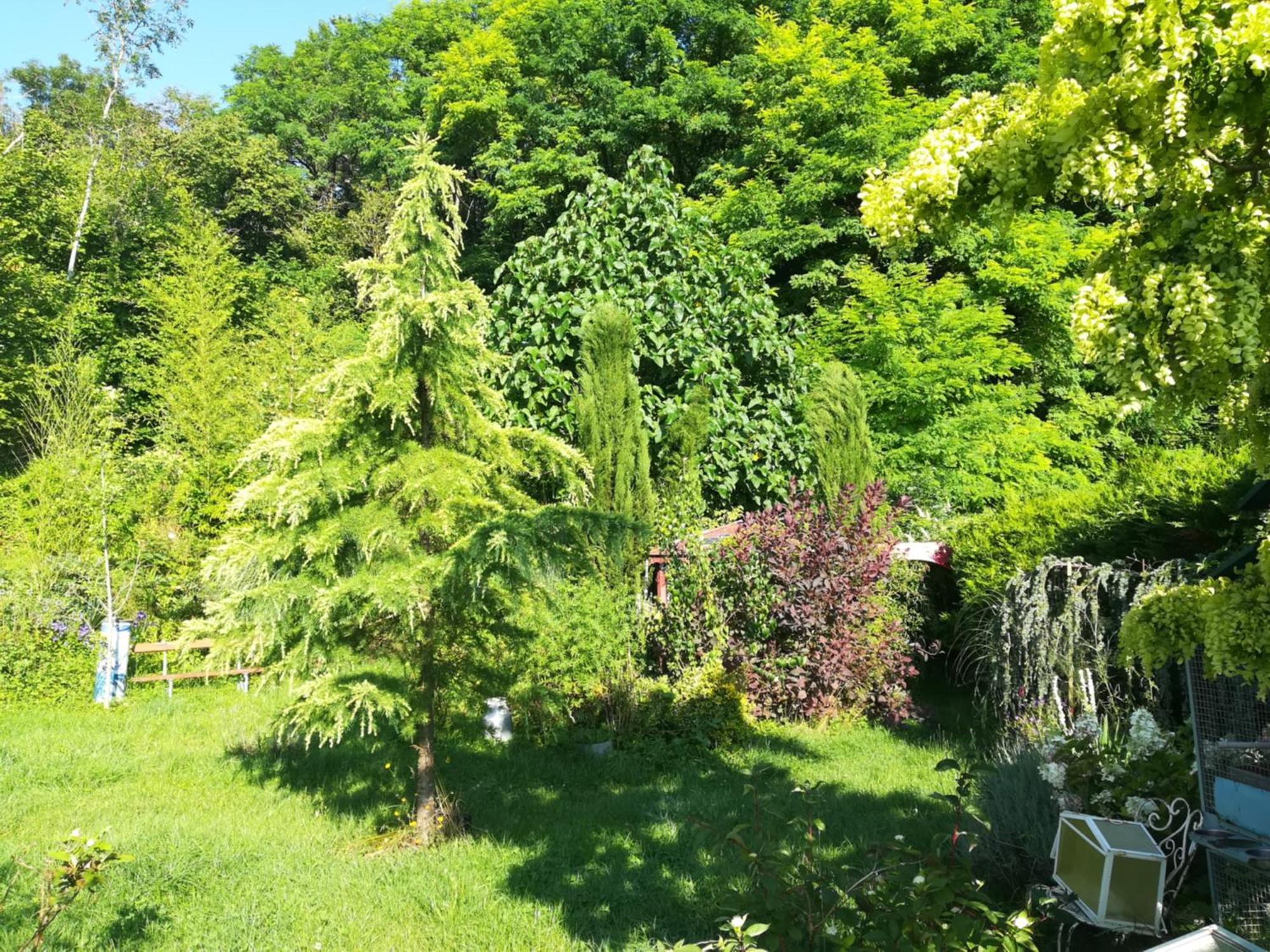 Apiculteur Loue 2 Chambres Dans Cadre Verdoyant Pagny-sur-Meuse المظهر الخارجي الصورة